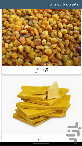 آموزش زنبورداری حرفهای - عکس برنامه موبایلی اندروید