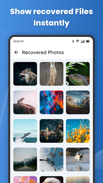 File Recovery - Photo Recovery - عکس برنامه موبایلی اندروید