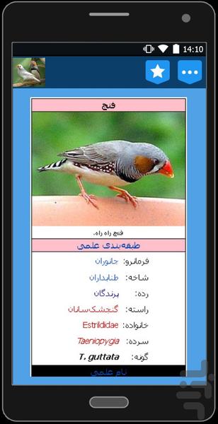 نگهداری و پرورش فنچ - عکس برنامه موبایلی اندروید