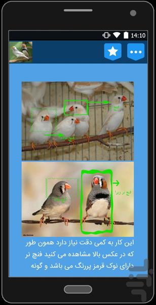 نگهداری و پرورش فنچ - عکس برنامه موبایلی اندروید