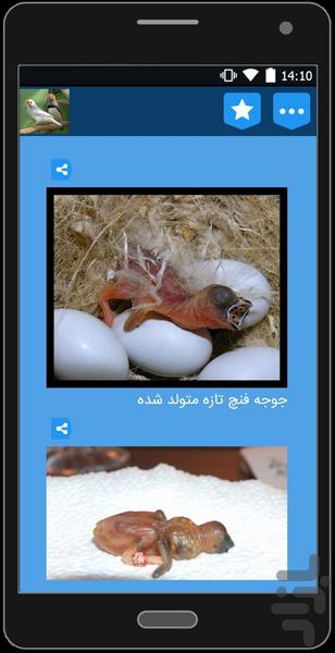 نگهداری و پرورش فنچ - عکس برنامه موبایلی اندروید