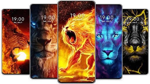 Lion Wallpaper HD 🔥 - Image screenshot of android app