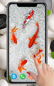 KOI Fish Live Wallpaper : New fish Wallpaper 2020 for Android - Download |  Cafe Bazaar