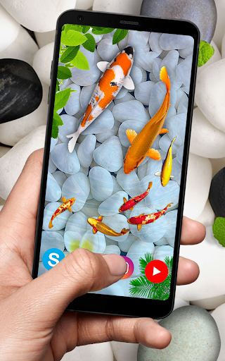 KOI Fish Live Wallpaper : New fish Wallpaper ۲۰۲۰ - عکس برنامه موبایلی اندروید