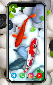KOI Fish Live Wallpaper : New fish Wallpaper 2020 for Android - Download | Cafe Bazaar KOI Fish Live Wallpaper : New fish Wallpaper 2020 for Android - Download | Cafe Bazaar