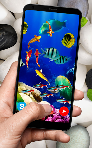 KOI Fish Live Wallpaper : New fish Wallpaper ۲۰۲۰ - عکس برنامه موبایلی اندروید