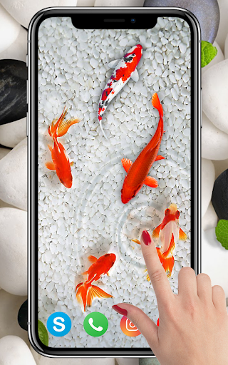 KOI Fish Live Wallpaper : New fish Wallpaper ۲۰۲۰ - عکس برنامه موبایلی اندروید