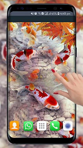 Fish Live Wallpaper free: Koi Fish Backgrounds HD - Image screenshot of android app