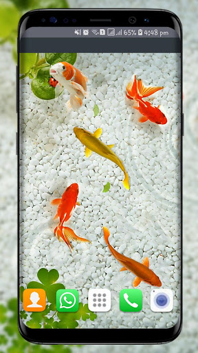 3D Aquarium Live Wallpaper HD  Apps on Google Play