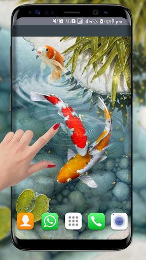 Fish Live Wallpaper free: Koi Fish Backgrounds HD - Image screenshot of android app