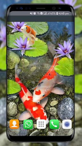 Fish Live Wallpaper free: Koi Fish Backgrounds HD - عکس برنامه موبایلی اندروید