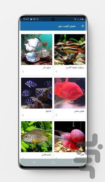 Fish Guide - Image screenshot of android app