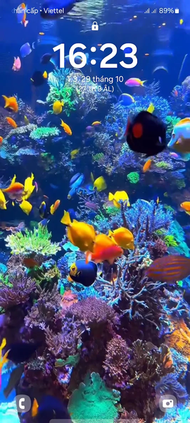 ۴D Fish Tank Live Wallpaper - عکس برنامه موبایلی اندروید