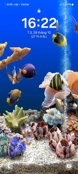 ۴D Fish Tank Live Wallpaper - عکس برنامه موبایلی اندروید