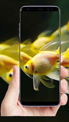 ۱۰۰+Fish Full HD Wallpaper - عکس برنامه موبایلی اندروید