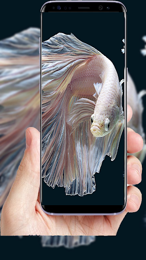 ۱۰۰+Fish Full HD Wallpaper - عکس برنامه موبایلی اندروید