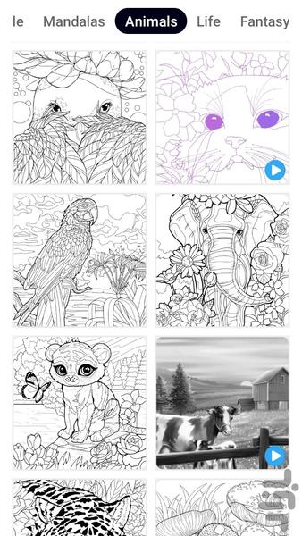 Flew Color by Number - عکس بازی موبایلی اندروید