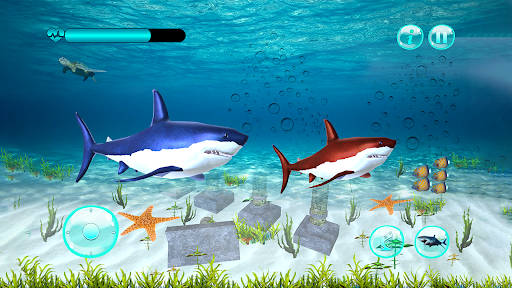 Big Shark Vs Small Sharks - Gameplay image of android game