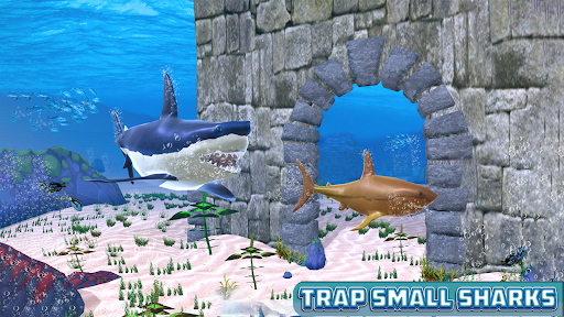 Big Shark Vs Small Sharks - Gameplay image of android game