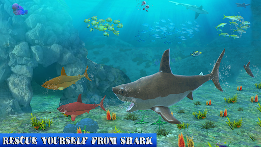 Big Shark Vs Small Sharks - Gameplay image of android game