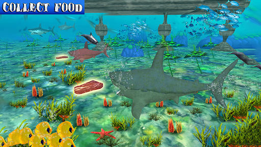 Big Shark Vs Small Sharks - Gameplay image of android game