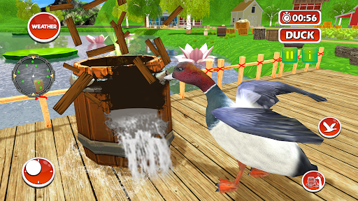 Talking Duck Bird game - Gameplay image of android game