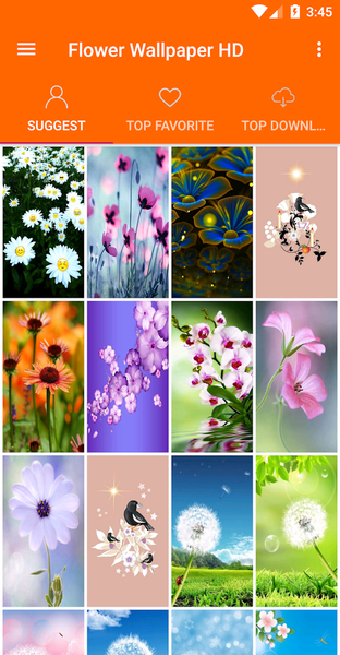 Flowers Wallpaper 4K - عکس برنامه موبایلی اندروید
