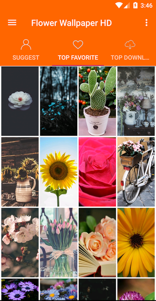Flowers Wallpaper 4K - عکس برنامه موبایلی اندروید