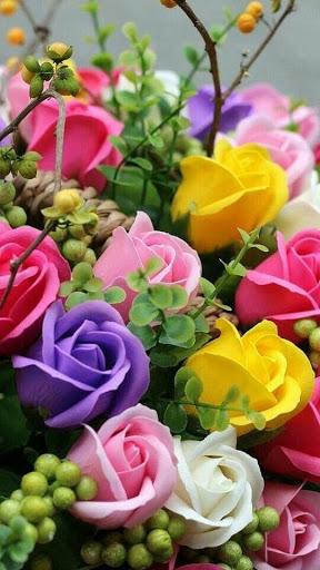 Beautiful flowers and roses pictures Gif - Image screenshot of android app