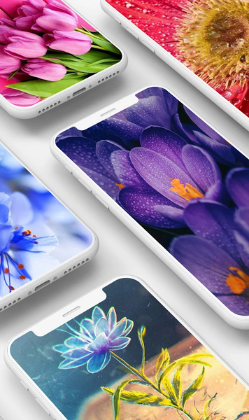 Flowers Wallpaper - Image screenshot of android app