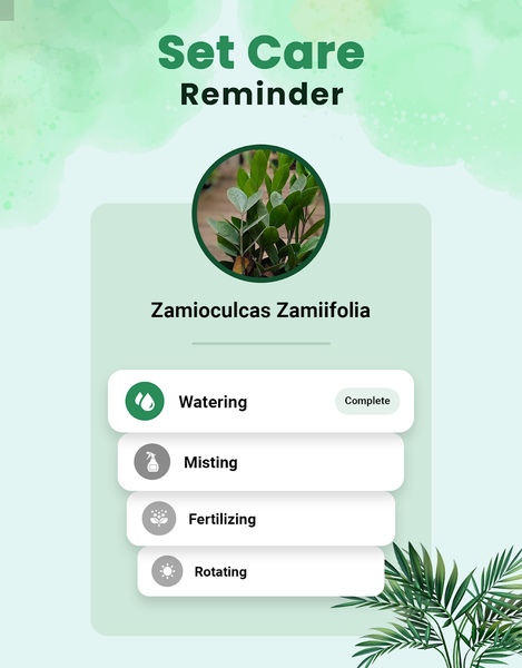 Plant Identifier - Iplant - عکس برنامه موبایلی اندروید
