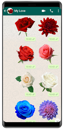 Roses Stickers – استیکر عاشقانه - عکس برنامه موبایلی اندروید