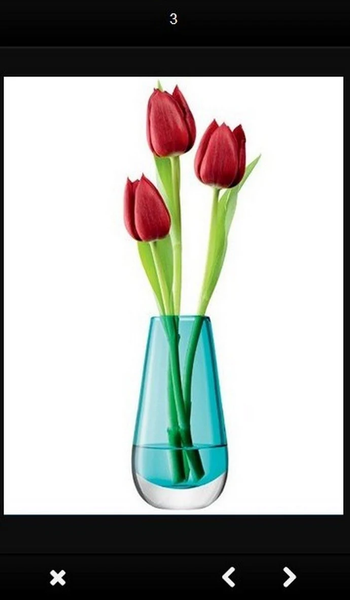 flower vase ideas - عکس برنامه موبایلی اندروید