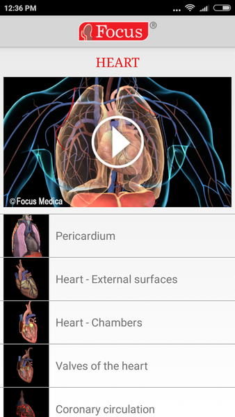 HEART - Digital Anatomy Atlas - Image screenshot of android app