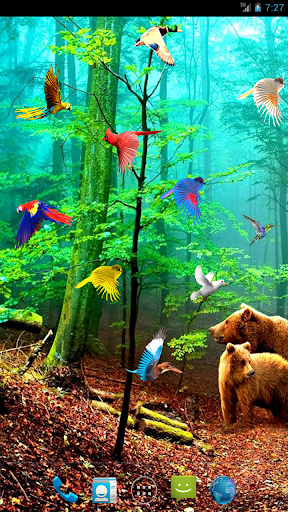 Forest Birds Live Wallpaper - Image screenshot of android app