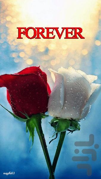 پس زمینه زنده زیبای forever - عکس برنامه موبایلی اندروید