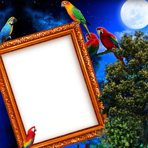 Parrot Insta DP - Image screenshot of android app