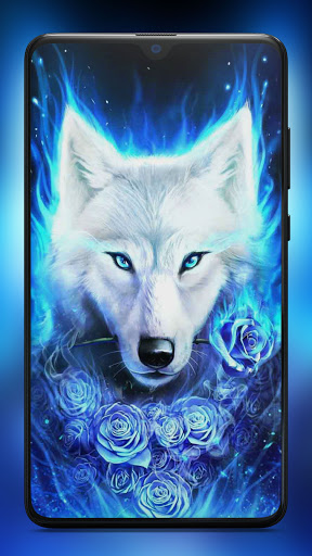 Ice Fire Wolf Wallpaper Download