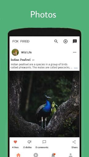 MGSPIIJP - Image screenshot of android app
