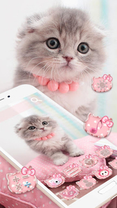Cute Cats App Icons Pack Phone Theme Cute Wallpapers Ios 