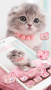 I Love Cats Turn all your icons into cute kitty cats with this adorable  theme! Download Now： …