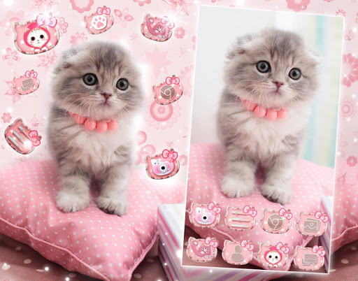 Pink Cat Wallpaper Cute Cat Aesthetic Simple iPhone XR - Etsy Finland