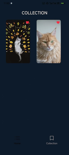 Cool Wallpaper:۴K Wallpaper - عکس برنامه موبایلی اندروید