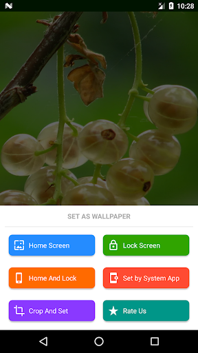 Fruit Wallpapers - عکس برنامه موبایلی اندروید