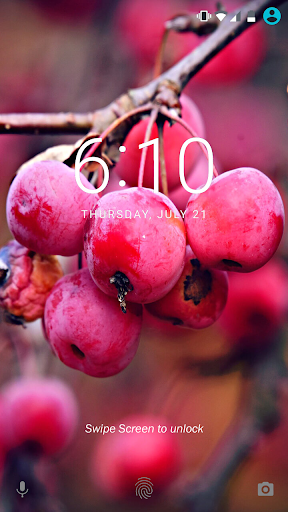 Fruit Wallpapers - عکس برنامه موبایلی اندروید