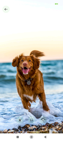 Life Wallpaper:4K Wallpaper - Image screenshot of android app