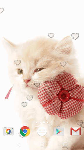 Cats Live Wallpapers HD APK for Android Download