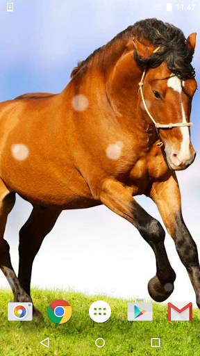 Horses Live Wallpaper HD - عکس برنامه موبایلی اندروید