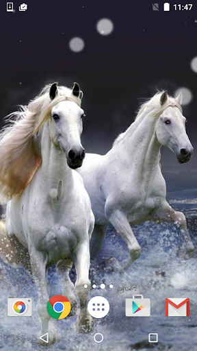 Horses Live Wallpaper HD - عکس برنامه موبایلی اندروید