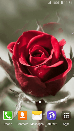 3D Rose Live Wallpaper - عکس برنامه موبایلی اندروید